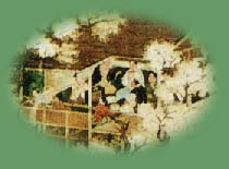 �C���[�W�C���X�g