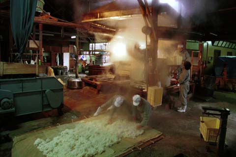 ��������S�i